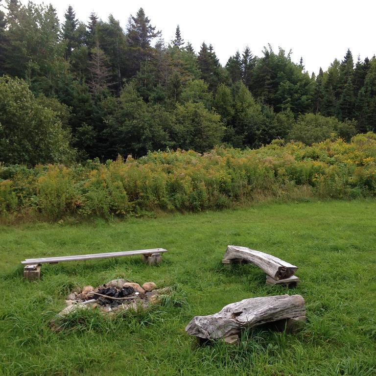 Гостевой дом Breton Cove Farmhouse Indian Brook Экстерьер фото