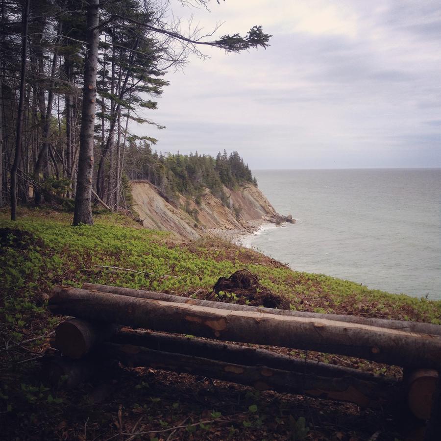 Гостевой дом Breton Cove Farmhouse Indian Brook Экстерьер фото